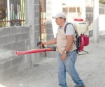 Fumigan para evitar casos de zika y dengue