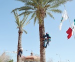 Embellecen la plaza principal