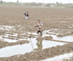 Extraen agua sin autorización de la Marte R. Gómez