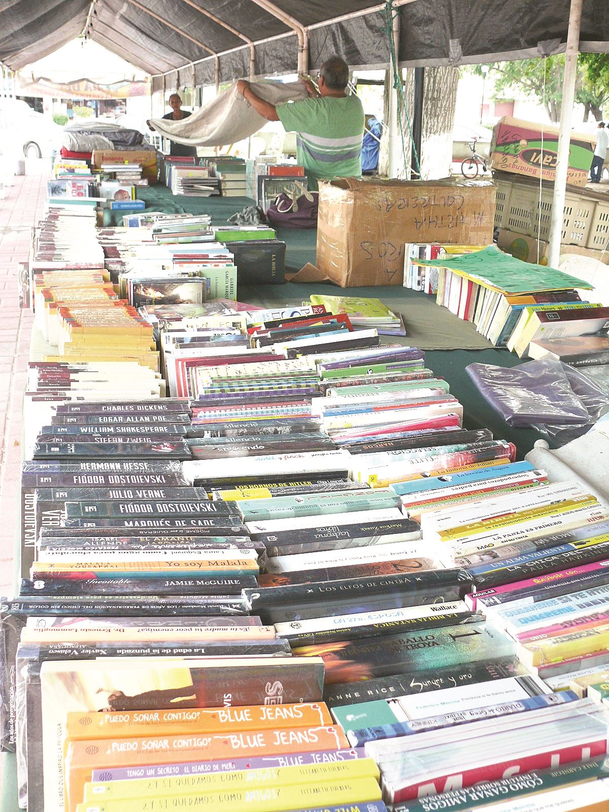 Prolongan Feria del Libro