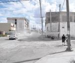 Levantan tierra los autobuses