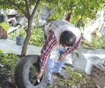 Sin casos de dengue en MA