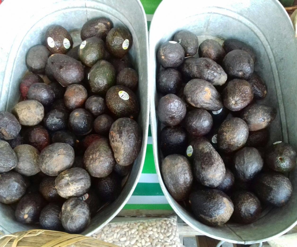Tres empleados sorprendidos robando aguacates