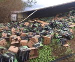Vuelca tráiler cargado con 60 toneladas de limón