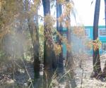 Arde pastizal y humo invade domicilios