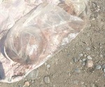 Hallan dos cabezas humanas en Güémez