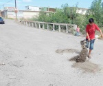 Tapa baches para ganarse unos pesos