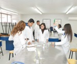 Reciclan pinos para tratar enfermedades