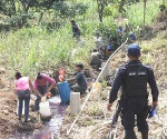 Hallan 16 tomas al día en ordeña