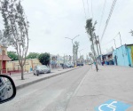 Buscan reactivar economía con festivales en  la Oaxaca