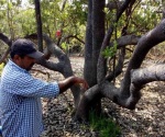 Denuncian ecocidio en la Laguna de San Andrés