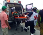 Ataca cocodrilo a un hombre en Madero