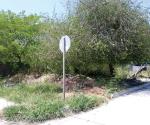 Terrenos abandonados en Las Torres generan moscos