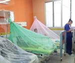 Incrementa brote de dengue por las lluvias recientes