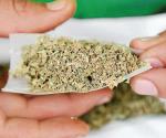 Se debe de estudiar a fondo uso lúdico de la mariguana