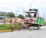 En pleno Siglo 21 se sigue utilizando caballos como motor en carretones