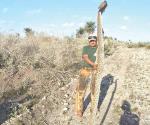 Ponen a fin  a tremendo viborón de cascabel