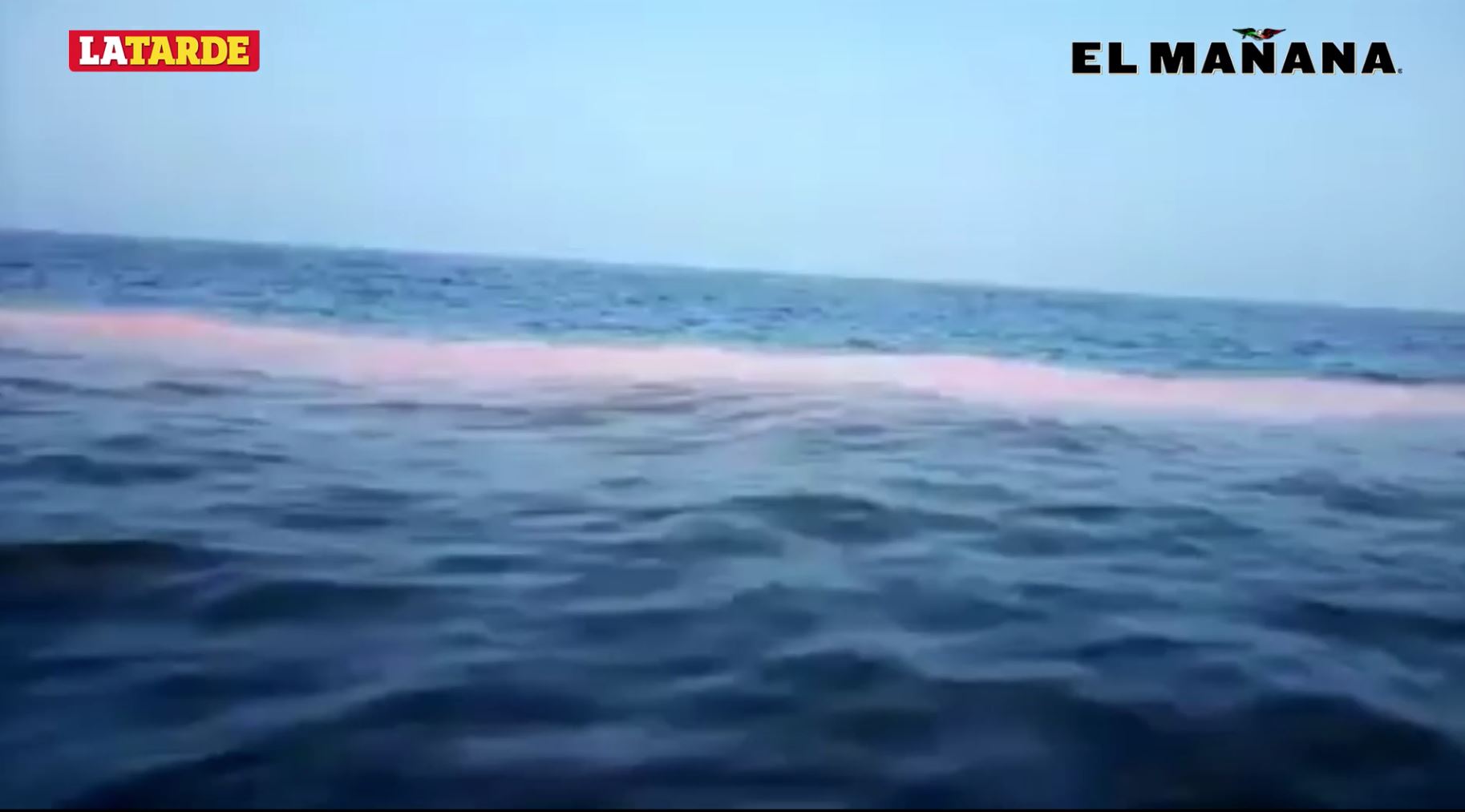 Alarma por expansión de manchas rojas en litoral