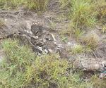 Encuentran un cuerpo acartonado