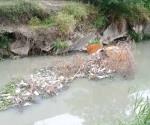 Piden que desazolve de dren sea frecuente en la colonia Anhelo