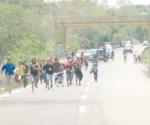 Interceptan INM y PF caravana migrante