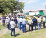 Detectan cogollero en ma&iacute;z