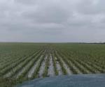 Convocan a productores damnificados por granizo