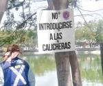 ¡Peligro!, exhortan no bañarse en calicheras