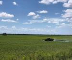 Pega insolación a trabajadores rurales