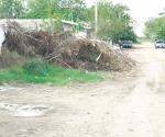 Obstruyen ramas el paso a peatones