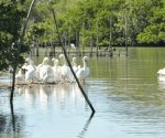 Alternativa para el desarrollo el turismo de naturaleza para regiones rurales