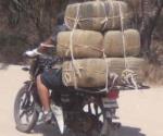 Pegan al narcotráfico en el Valle del Río Grande