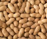 Conoce por qué es bueno comer cacahuates diariamente