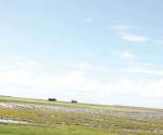 Dejan lluvias la humedad suficiente para agricultura