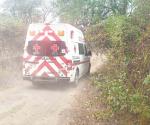 Toro ataca a bombero
