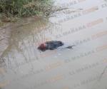 Flota cadáver en aguas del río Bravo