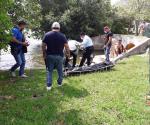 Localizan a hombre ahogado en la Laguna del Carpintero