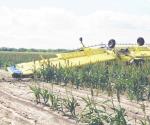Se accidenta avioneta
