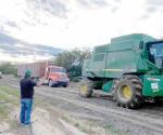 Retrasan lluvias la trilla de sorgo