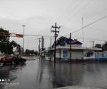 Pegan lluvias a comercio y cosechas