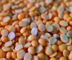 Conoce cómo se hidrata la soya y cuánto tiempo tarda en cocerse