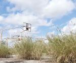 Abandonan la ecología