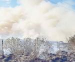 Consume el fuego 6 hectáreas de pasto
