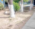 Piden suspender pagos escolares