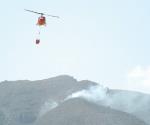 Incendios forestales afectan a 56 hectáreas