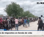 Conteo de migrantes en Senda de vida