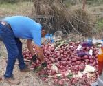Realizan primeras remesas de composta en Municipio-Conafor