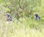 Localizan huesos en operativo