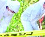 Abaten a trece en SLP; detienen a 2