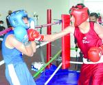 Se darán con todo en Torneo Municipal de Boxeo